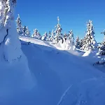 Sniezka House Дом отдыха Мыслаковице