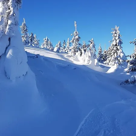 Sniezka House 度假居 Mysłakowice