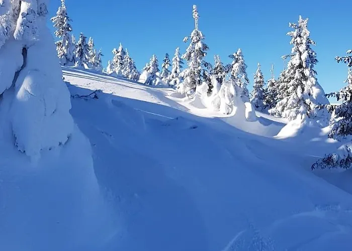 Sniezka House 펜션 마이스타코비체