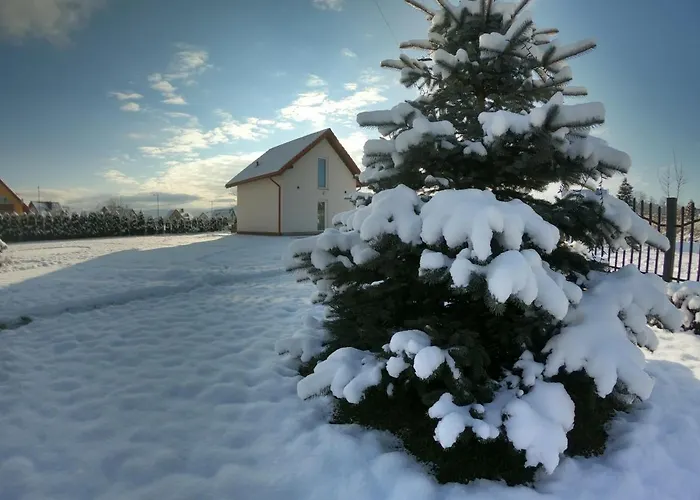 Sniezka House 펜션 *